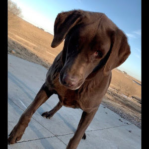 Meet your Posher, Addie